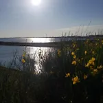 La Galiote, T2 Vue Port, Terrasse Et Parking Apartman Frontignan