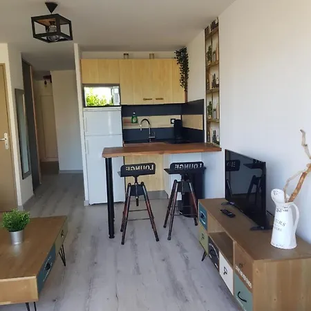 Apartmán La Galiote, T2 Vue Port, Terrasse Et Parking