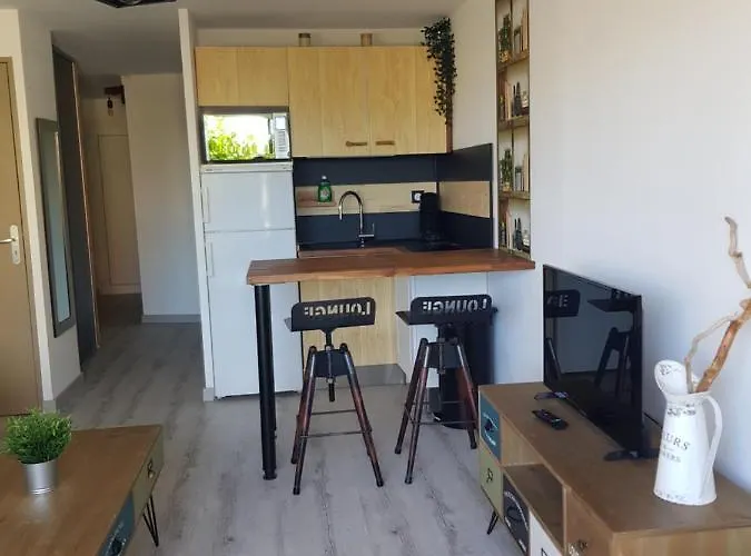 Appartement La Galiote, T2 Vue Port, Terrasse Et Parking